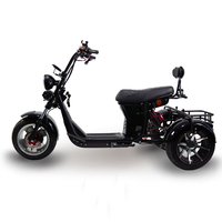 Triciclo Eléctrico Loyal de 3 Ruedas, Motocicleta Eléctrica de 3 Ruedas y Bicicleta Eléctrica de 3 Ruedas, Triciclo de 4000w, Bicicleta Eléctrica Citycoco de 3000w