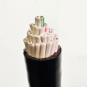 Rvvp 485 4 कोर <span class=keywords><strong>2</strong></span> 4 कोर <span class=keywords><strong>2</strong></span> 4 जोड़ी ब्रेडेड शील्ड तार 26wg 24/5/6 कोर सिग्नल शील्ड केबल - Product Image 2