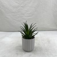 Plantes succulentes artificielles en plastique vertes, haute simulation, écologiques, mini 17 cm pour la décoration de la maison et de mariage