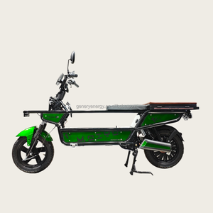 Vélo <span class=keywords><strong>cargo</strong></span> électrique haute puissance 1500W avec <span class=keywords><strong>moteur</strong></span> à moyeu arrière, 3 vitesses, cadre en acier <span class=keywords><strong>sans</strong></span> balais, charge maximale de 300 kg - Product Image 1