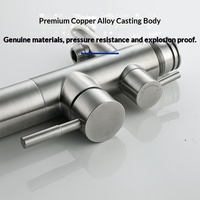 Ensemble de douche extérieure transfrontalier pour villas, piscines et centres de baignade - autoportant, à poser au sol, finition brossée, eau chaude/froide