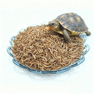 Brotwurm trockene Tiernahrung Huhn und Ente füttern Zier schildkröte und Fisch füttern gelben Mehlwurm trocken - Product Image 2