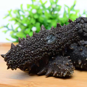 Bán Buôn Phúc Kiến Senegal Biển Dư<span class=keywords><strong>a</strong></span> Chuột Động Vật Biển Dư<span class=keywords><strong>a</strong></span> Chuột Người Mua - Product Image 5