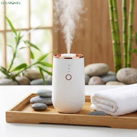 Diffuseur de voiture sans eau A603 à huiles essentielles pures, nébuliseur à double fluide par atomisation à froid, rechargeable sans fil 2000 mAh, portable