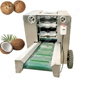 Mesin penghilang serat kelapa cokelat kering penghilang kulit coklat mesin serat sekam kelapa kering tua