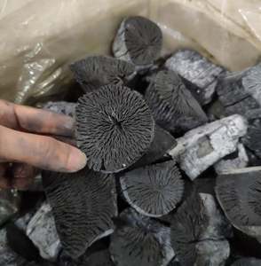 แท่งถ่านเนื้อแข็งสีขาวแบบไร้ควันสำหรับบาร์บีคิวเกาหลีผลิตจากลิ้นจี่ - Product Image 6