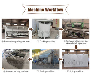 Nhà máy chế biến điều tự động hoàn toàn, máy bóc vỏ điều thô tự động - Product Image 2