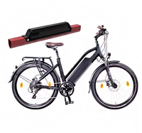 Batterie rechargeable au lithium-ion NCM Reention Dorado 18650 21700 24V 36V 48V 10-20Ah 1000 cycles pour remplacement et mise à niveau de vélos électriques