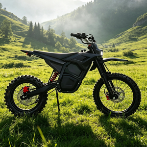 Motocicleta Eléctrica Yozma in 10 Pro con Potente Motor de 2000W, Aceleración Rápida Todoterreno, Motor de 5000W, Velocidad Máxima de 70KM/H - Product Image 1
