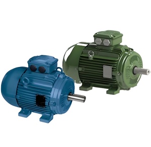 Compre con Confianza: Motor de Inducción Trifásico WEG Serie W21 de Hierro Fundido IE3 7.5kw 11kw 22KW 30kw 45kw 1500RPM 200L 380V - Product Image 3