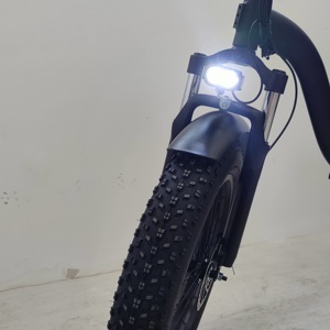 中国工厂批发铝合金电动自行车250W/500W/1000W电机20英寸宽胎折叠电动自行车避震叉碟刹 - Product Image 4
