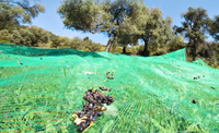 Groene Plantage Fruitverzamelingsnetten, op maat te maken, voor landbouwnetten voor walnoten, olijven en kastanjes.