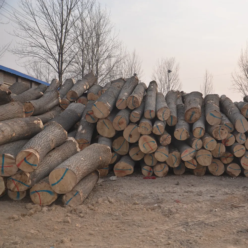 Vente en gros de panneaux de bois massif Bois de paulownia Achat de panneaux de bûches Pour le développement immobilier