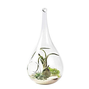 Terrarium suspendue en verre, goutte d'eau, plante à <span class=keywords><strong>air</strong></span>, terrarium - Product Image 2