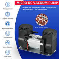 Pompa Vakum Diafragma DC Kecil 12V24V/110V/220V -85kpa Pompa Kompresor Ganda untuk Peralatan Medis atau Tekanan Darah