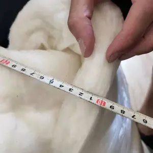 Colchão acolchoado térmico orgânico, linha de produção amassada de algodão acolchoado
