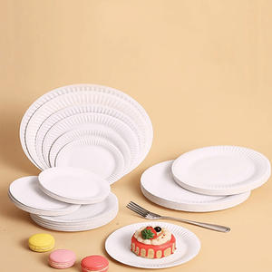 Platos Redondos Desechables Blancos Modernos, Vajilla para Cumpleaños, Fiestas, Picnics, Aperitivos, Hechos de Papel de Bagazo - Product Image 1