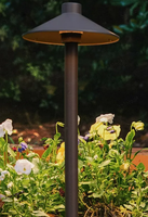 Lumière de pelouse extérieure LED Al de haute qualité magnifiquement conçue avec un moule unique