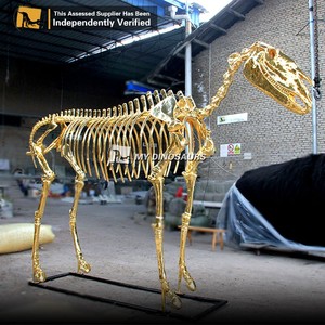 AA-F058 khủng long của tôi kích thước đầy đủ động vật thời tiền sử 3D Bộ xương Ngựa Vàng - Product Image 4