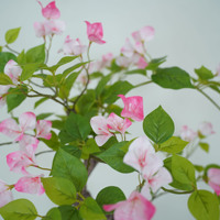 Plante artificielle de bougainvillier en pot, décoration de bureau, fleurs artificielles d'intérieur, verdure, aménagement paysager, bonsaï disponible en trois couleurs