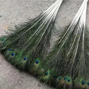 Wholesale Custom Long peacock hair Decorative feathers Trimmed soft Peacock feather print