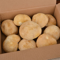 Champignons Crinière de Lion Bio Séchés 5-8cm en Gros, Comestibles, Nutritifs, Végétaliens, Herbe Naturelle pour Extrait de Café en Poudre et Complément Alimentaire