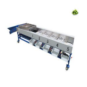 Fruit Roller Grader Fruit Sorting Machine <b>Chestnut</b> Dates Tomato Sorting Machine - Product Image 2