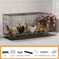 Cages à pigeons en métal simples, cloisons d'élevage, hangars de course, équipement de transport pour poulets de taille moyenne - Vente en gros fabricant