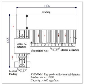 เซ็นเนเยอร์แบรนด์ของตัวเองสิ่งประดิษฐ์ใหม่พร้อมเครื่องตรวจจับแสงภาพนำไปใช้กับเครื่องไล่ระดับไข่เพื่อความแม่นยำมากขึ้นในราคาถูก - Product Image 2