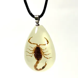 Gioielli personalizzati della collana dell'esemplare dell'insetto della collana del pendente della resina degli insetti reali di bagliore per gli uomini
