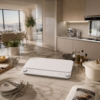 Table de cuisson à induction double 3400W avec deux brûleurs et contrôle de température indépendant OEM
