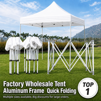 Tente de réception pliable 10x10, 10x20, 20x20 en acier et aluminium pour salons professionnels, événements sportifs et publicité extérieure