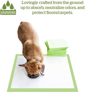 Meilleur vendeur en ligne 2024 tampons de pipi pour animaux de compagnie pour chiens - Product Image 5