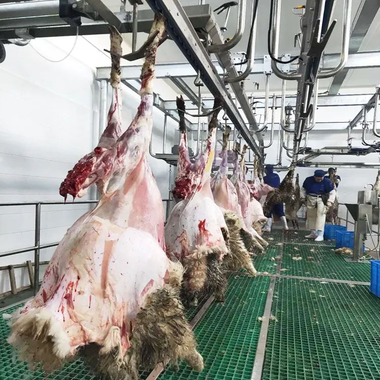 羊の食肉処理場用の完全な食肉処理機