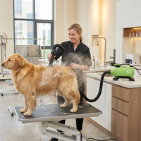 Sèche-cheveux pour animaux Shernbao SHD-2600P à moteur unique avec débit d'air et chauffage variables pour le toilettage des chiens