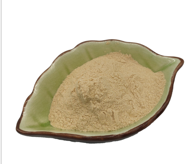 Bulk Food Grade Phosphatidylcholine Powder (Herbal Extract) Solvent Extraction Drum Packaging