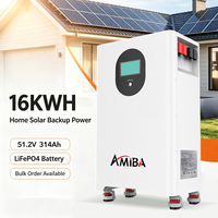 Batterie de stockage d'énergie domestique 16 kWh 51,2 V 314 Ah au lithium fer phosphate, murale, avec plus de 8000 cycles pour l'alimentation de secours solaire