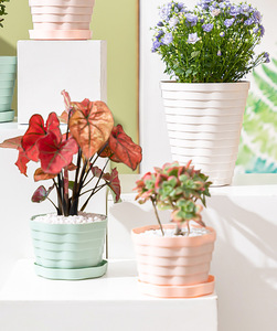 Newly Designed Resin Contemporary Minimalist Shopping Mall Garden Eco-friendly Durable Outdoor Circular Lazy Self-watering - Product Image 1