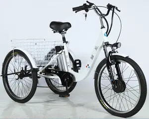 전기 tricycles 고출력 trike 세발 제조 cago 세발 재고