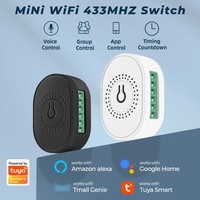 Contrôleur Mini WiFi RF433MHz 16A Tuya 2 Voies Interrupteur Intelligent de Contrôle de l'Éclairage avec Minuterie Télécommande