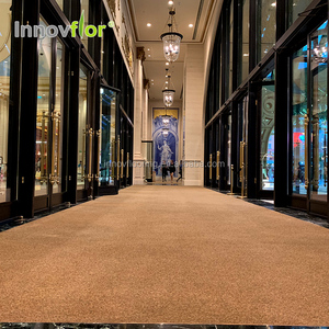 Casa interior desinfección entrada zapatos profunda limpieza pies alfombra limpieza volando de los estantes - Product Image 2