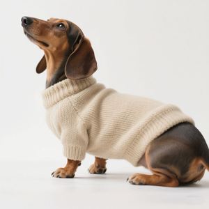 Maglione di Lusso Personalizzato Joymay per Cani Bassotto, Alta Qualità, Tinta Unita, in Poliestere, per Esterni, Caldo, Design Esclusivo - Product Image 1