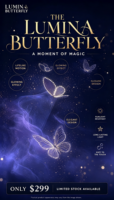 Nouvelle Arrivée : Spectacle Lumineux Volant Télécommandé SFX pour Mariages, Scènes et Événements – Décoration Bionique Rechargeable à LED