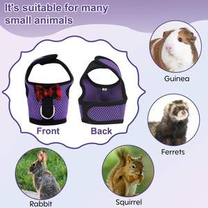Arnés y Correa para Cobayas al por Mayor de Fábrica, Arnés para Conejos, Arnés Ajustable de Malla Suave Personalizado para Mascotas Pequeñas - Product Image 4