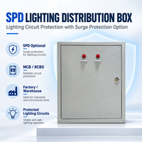 Boîtier de distribution d'éclairage avec protection SPD et MCB pour les systèmes électriques des usines et des entrepôts