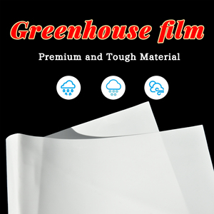 ฟิล์มโรงเรือน LLDPE 190 ไมครอน ราคาประหยัด/ฟิล์มโรงเรือนกันน้ำสำหรับลานบ้าน - Product Image 1