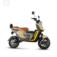 Nouveau Produit Tailg Moto Électrique Scooter 2 Places 1200W Longue Portée 80Km