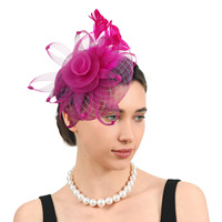 Mini-chapeau en tulle transparent et plumes, style défilé, pour mariée et cérémonie de thé