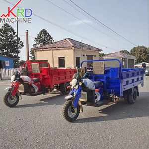 Triciclo <span class=keywords><strong>de</strong></span> Alta Calidad <span class=keywords><strong>de</strong></span> 150cc a Gasolina, Transportador <span class=keywords><strong>de</strong></span> Pasajeros y Carga, Diseñado para Transporte Urbano y Rural - Product Image 2