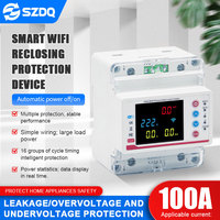 Estabilizador Tuya 100A, Medidor de Energía LED Inteligente para Riel DIN, Wifi, Monofásico, Interruptor de Circuito MCB 2P, Material de PC, Tipo de Corriente CA